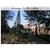 Varca Palms Beach Resort