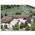 BEST WESTERN PLUS Antelope Inn