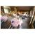 BEST WESTERN Tamworth Motor Inn