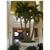 Palm Beach Gardens HGI
