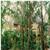 Australis Sanctuary Resort
