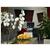 all seasons Catania Acireale