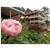 Glen-Ella Springs Inn
