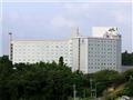 Hotel Nikko Narita