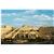 Le Meridien Makadi Bay Resort