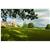 Rookery Hall Hotel and Spa