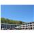 BEST WESTERN Summersville Lake Motor Lodge
