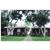 Howard Johnson Inn Mysore