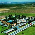 El Hidalgo