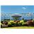 Comfort Inn Plymouth