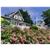 Beach House at Chatham, The