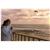 The Coho Oceanfront Lodge