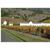 TownePlace Suites Newark Silicon Valley