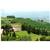 Villa Campestri Resort