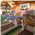 BEST WESTERN Mount Sorrel Hotel