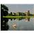 Swinton Park