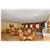 BEST WESTERN Pine Springs Inn