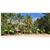 Waisalima Beach Resort and Div