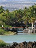 Kolea at Waikoloa Beach