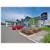 BEST WESTERN Rose Quartz Inn