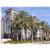 Ramada Plaza Hotel Anaheim