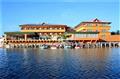 Peten Esplendido