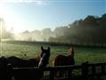 Mount Juliet Hotel