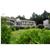 Wilson Lake Inn