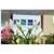 Comfort Hotel Galaxie