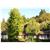 Humboldt Redwoods Inn