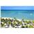 Occidental Grand Aruba