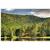 Foxhunt at Sapphire Valley