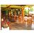 Iguana Lodge