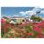 Rodeway Inn Kissimmee