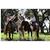 Westgate River Ranch Resort