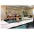 SpringHill Suites Sacramento Roseville
