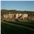 The Lodge At Sierra Blanca