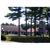 BEST WESTERN Acadia Park Inn