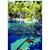 Hotel Buena Vista Beach Resort