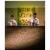 Leodikya High Class Resorte Hotel