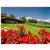Mercure Yarra Valley Balgownie Estate Vineyard Resort and Spa