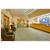 Holiday Inn Express BREEZEWOOD