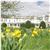 BEST WESTERN Ripon Spa Hotel